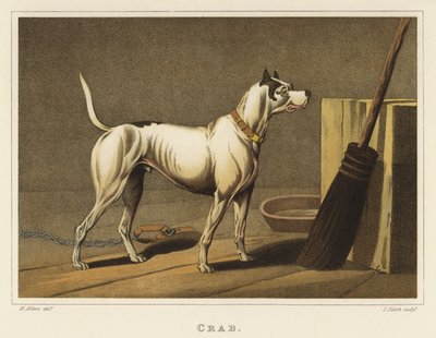 Granchio da Henry Thomas Alken
